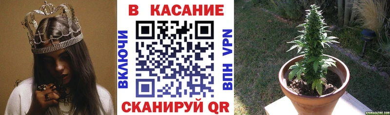 Наркота Салехард АМФЕТАМИН  COCAIN  Гашиш  СОЛЬ  Меф мяу мяу  Псилоцибиновые грибы  Конопля 