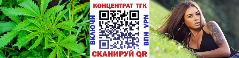 ТГК Wax  Салехард 