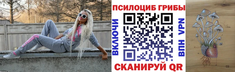 Галлюциногенные грибы GOLDEN TEACHER  площадка какой сайт  Салехард  где найти наркотики 